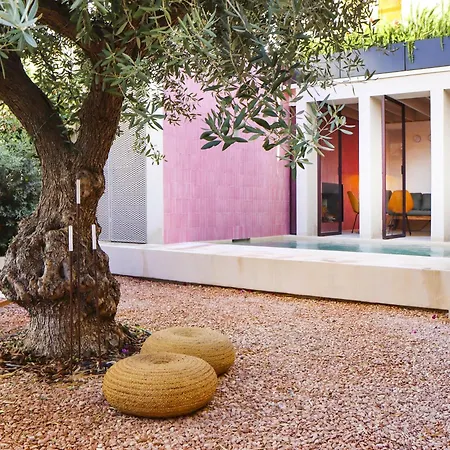 Zenia Βίλα Νότο